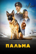 Пальма Пальма
